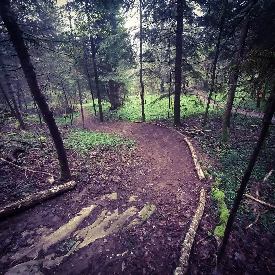 Camomille piste bleue Mont Poupet Bike Park