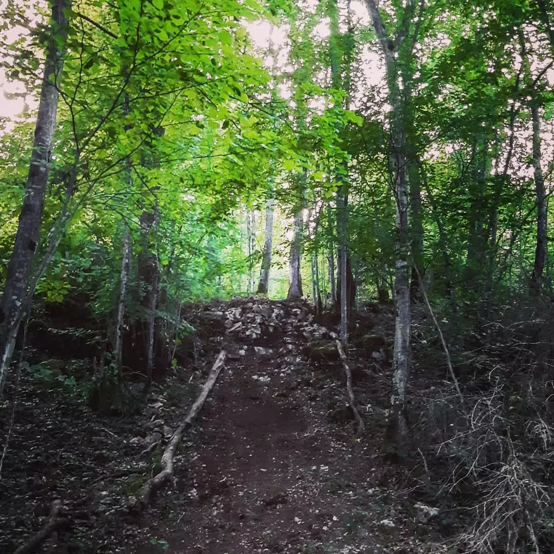 Dead Cervicals piste noire Mont Poupet Bike Park