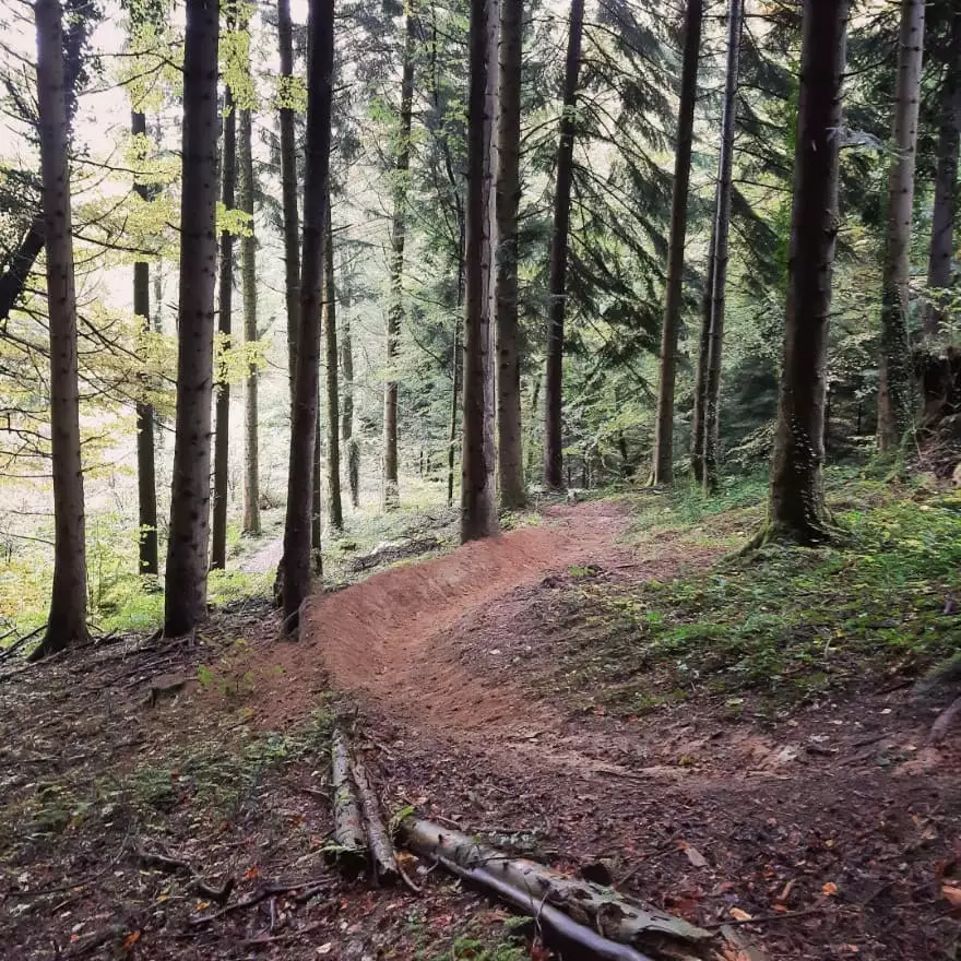 Dead Cervicals piste noire Mont Poupet Bike Park