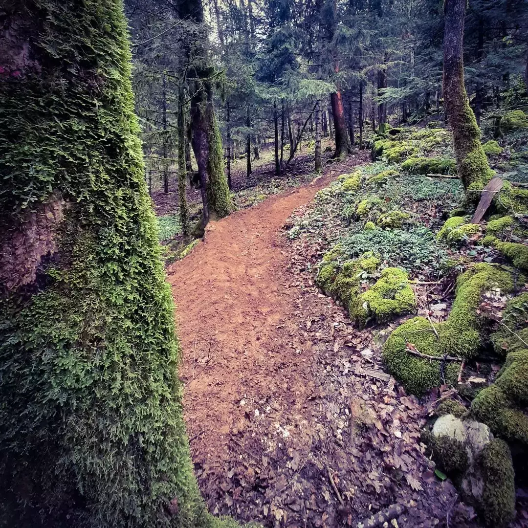 Foncemonga piste rouge Mont Poupet Bike Park