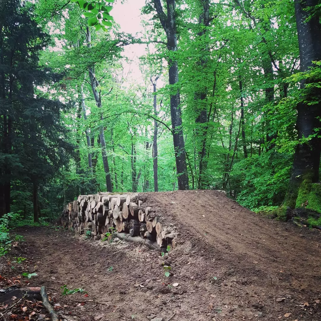 Foncemonga piste rouge Mont Poupet Bike Park saut Table avec rondins