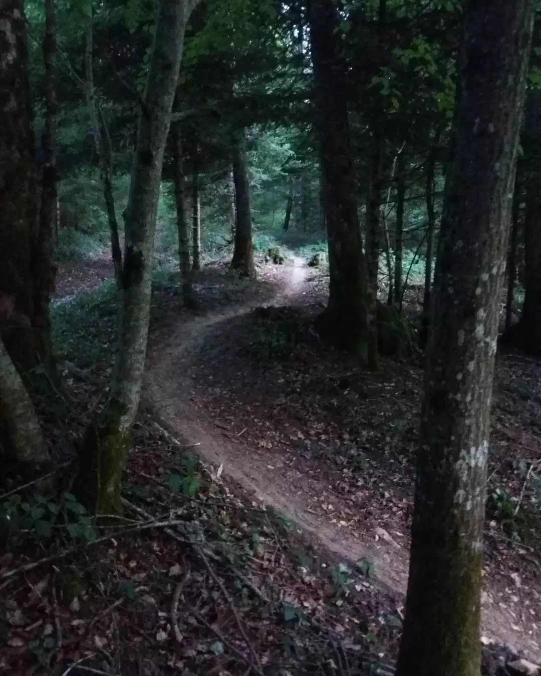 hipHop piste rouge Mont Poupet Bike Park virage relevé avec un super virage relevé