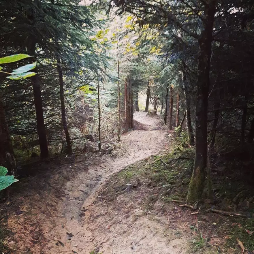 hipHop piste rouge Mont Poupet Bike Park virage relevé dans un tunnel de foret