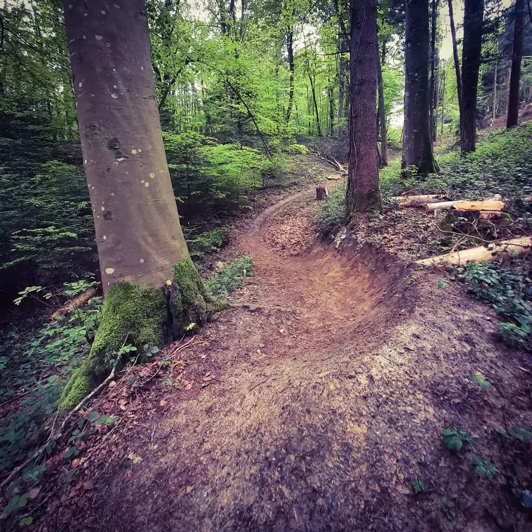 Spé du Patron piste rouge Mont Poupet Bike Park virage jump 